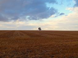 Ferragosto Nature Campaign