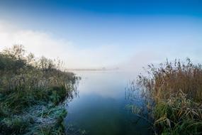 Lake Hoarfrost Reed