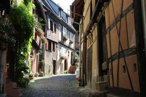 Mieval Landscape Houses