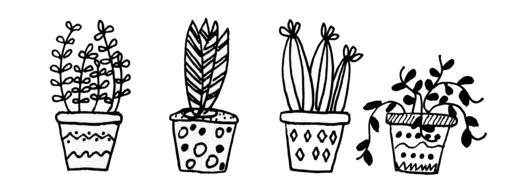 illustration of cacti flowers pots
