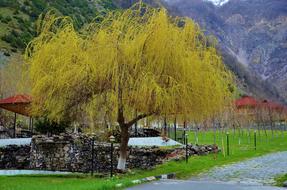 Country House Building