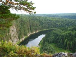 river in the green forest