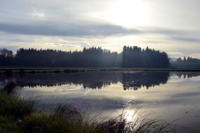Lake Pond Water