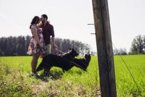 the happy couple in the green meadow by the log.