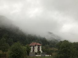 cloudy weather with trees and a house