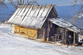 Wood House Wooden