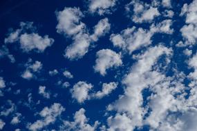 Nature Background Summer