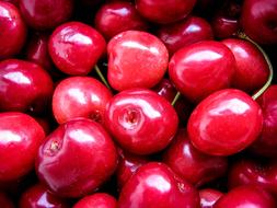 red cherry background