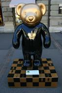 Zurich Bears Bear