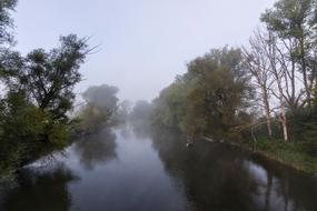 Nature Fog Autumn