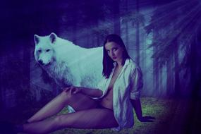 white Wolf And girl forest
