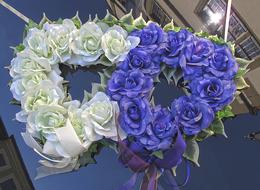 flowers colorful bouquet view