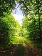 Nature Landscape sky view