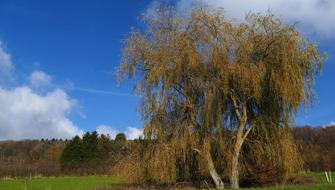 Landscape Nature Sky