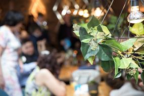 Wedding Reception Family Lighting