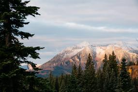 Mountain Flying Serra