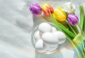 Flower Nature Easter