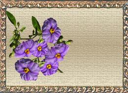 Greeting Card Purple