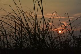 Sunset Dusk Twilight