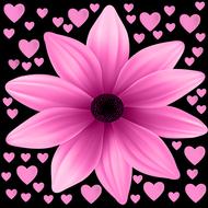 flower plant floral petal nature