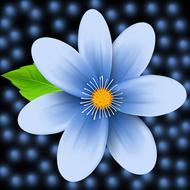 flower nature petal plant summer