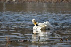 Natural Landscape Lake