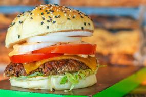 Juicy tomato burger