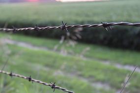 Barbed Wire Fence