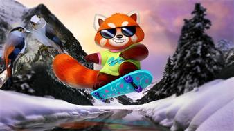 Red Panda Nature Snow