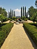 beautiful sunny garden