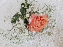 Rose Orange Gypsophila Flower