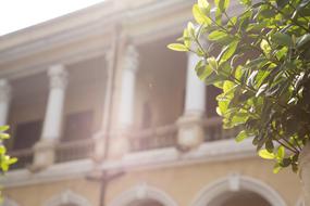 Jewelry（Architecture） Plant House