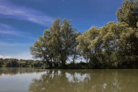 green lake with trees