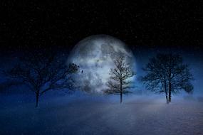 Winter Wintry Moon