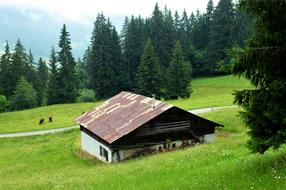 Nature France Alps Haute