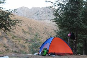 Camping Forest