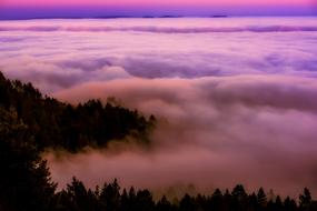 California Sunrise Fog