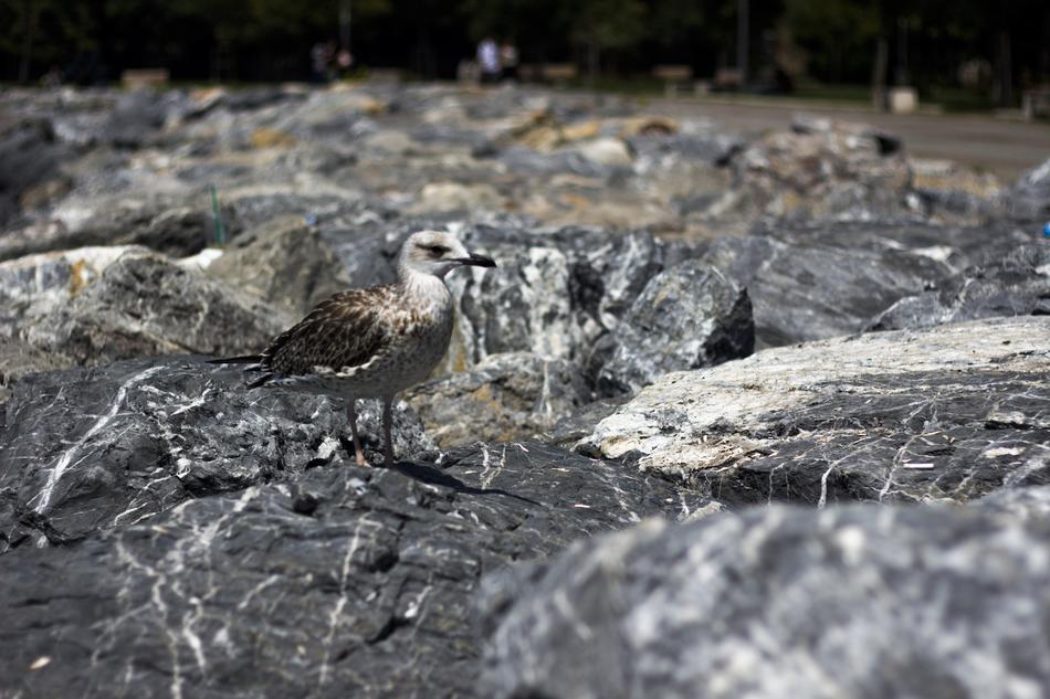 sea water beautiful landscape