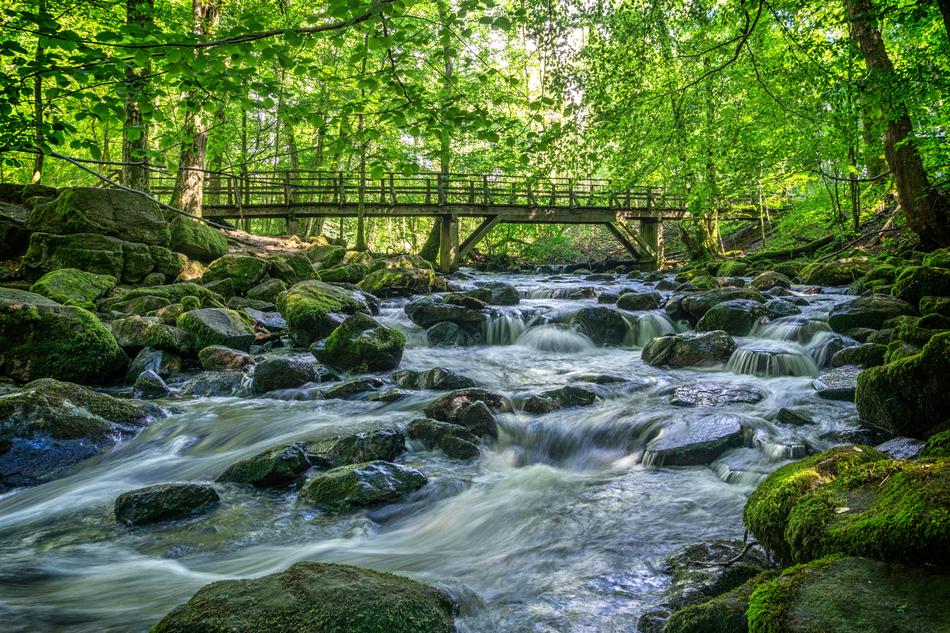 Forest River Stones