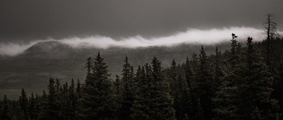 view of mountain forest at fog