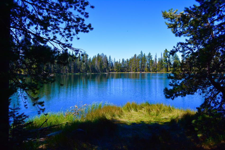Norcal Nature in California