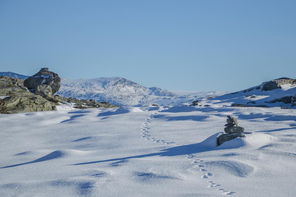 snowy Mountain Valley rocks Landscape