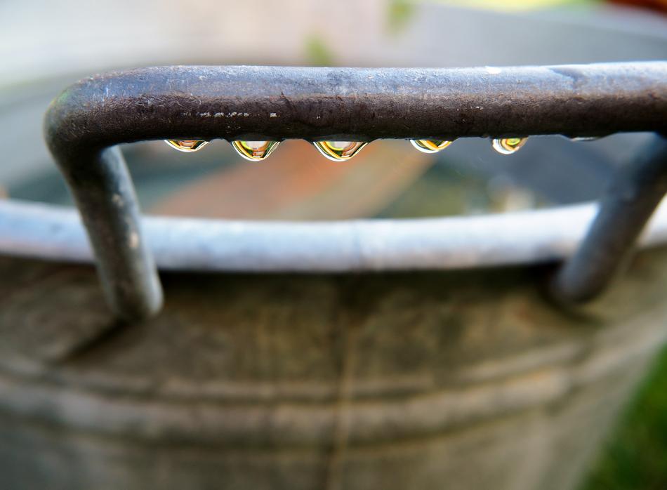 Drops Of Rain Water macro view