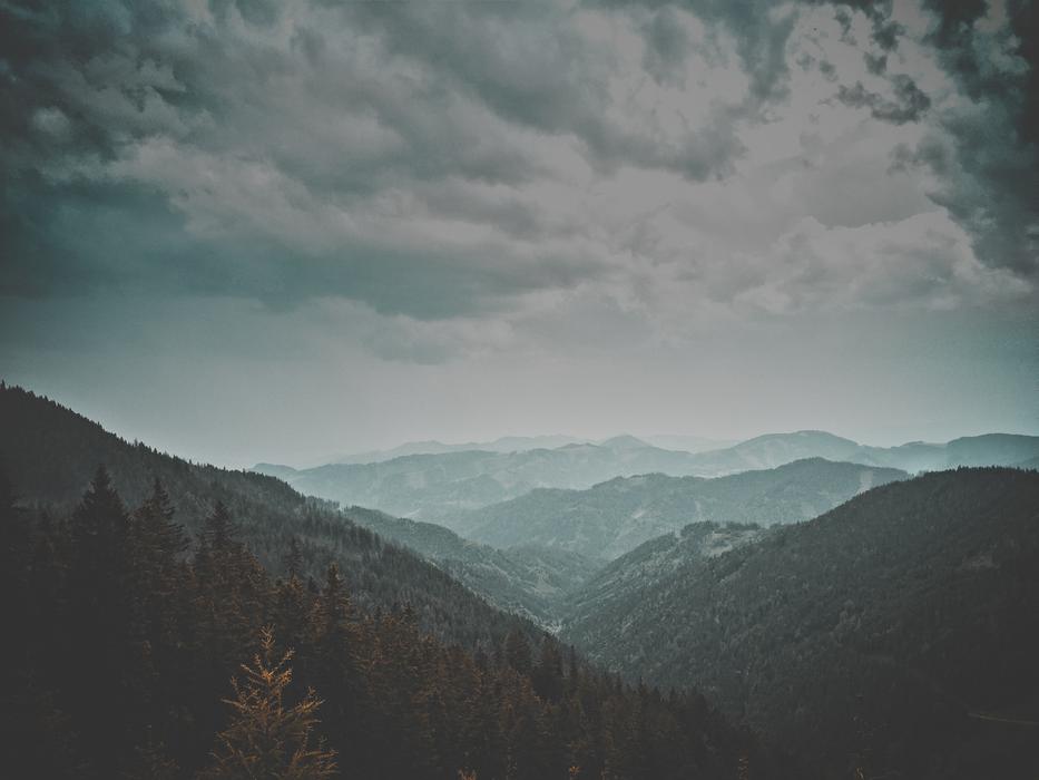 Mountain Valley forest view