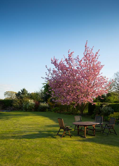 view of Garden Lawn
