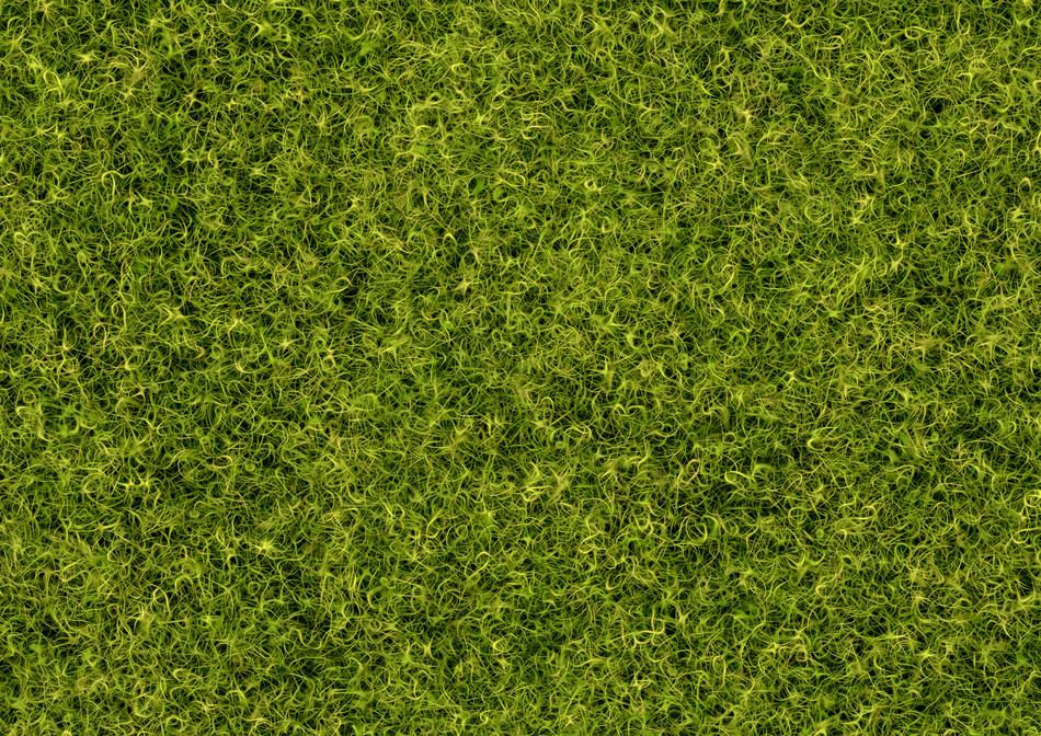 Background Grass Rush