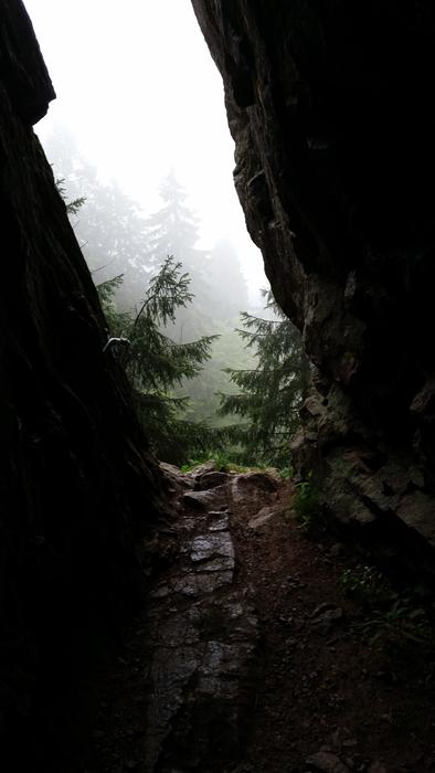 Nature Rocks Wild