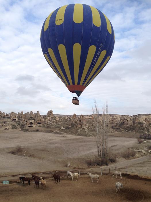 Balloon at flight