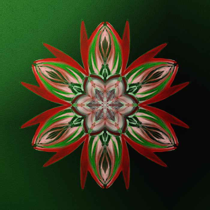 patterned flower on a green background