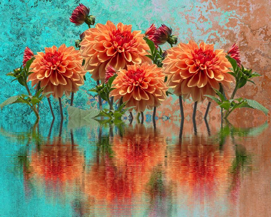 Autumn Dahlias flowers digital art